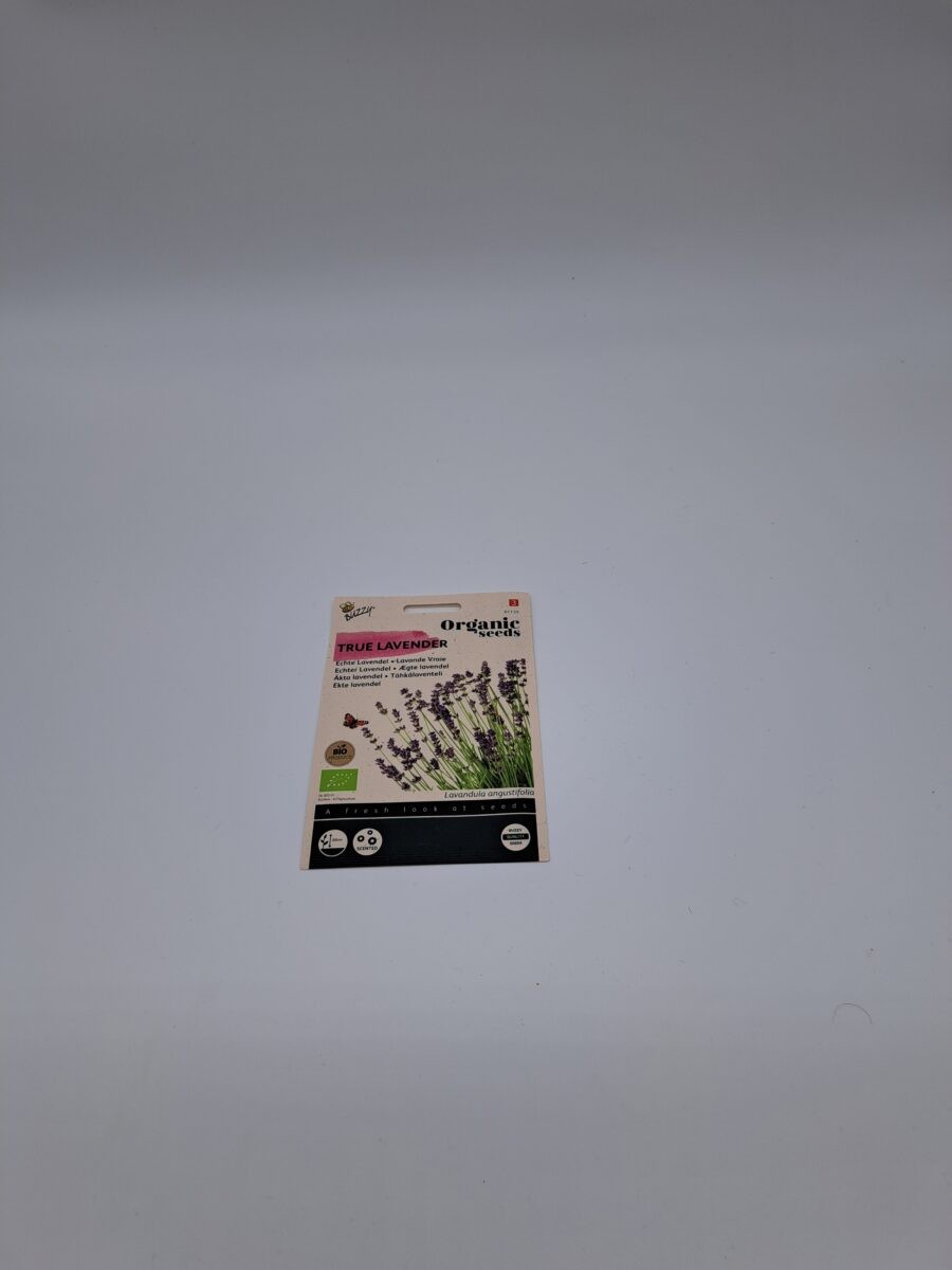 20250507 182640