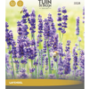 Lavendel