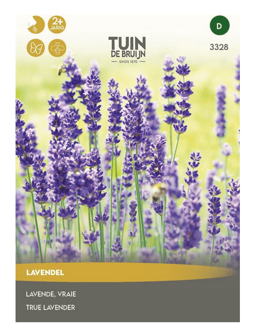 Lavendel
